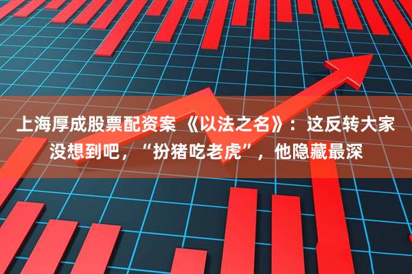 上海厚成股票配资案 《以法之名》：这反转大家没想到吧，“扮猪吃老虎”，他隐藏最深